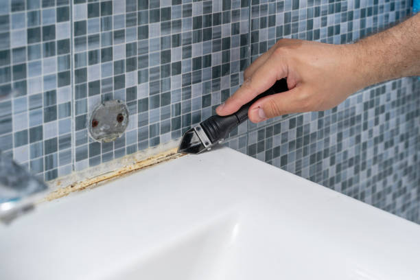 Best Industrial Mold Remediation in Monee, IL